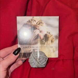 Studio Decor Cat Frame with Gray Rope Stand